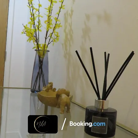 Appartement Centre With Free Parking, 2 Bathrooms, Netflix And Wifi - Suitable For Contractors And Families - By Noor Luxury Birmingham